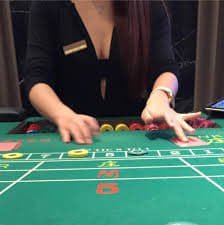 vaggo bet